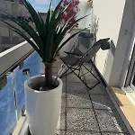 Апартаменты Terrace In Full Sun Аркашон