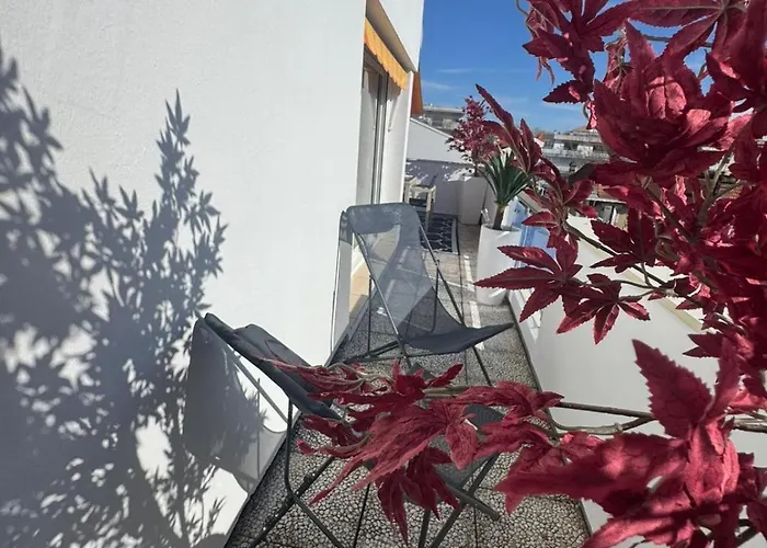 Terrace In Full Sun
